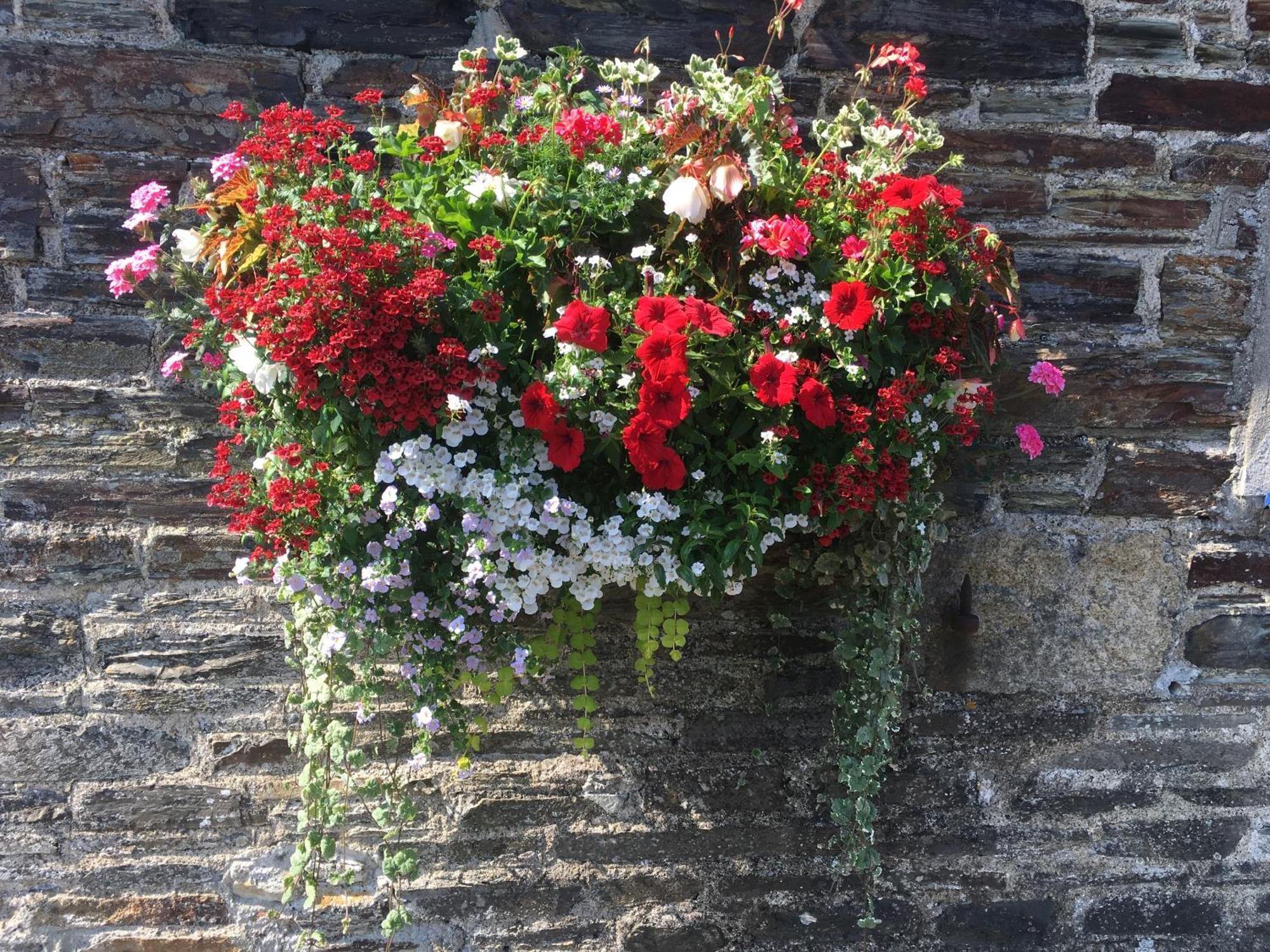 Blue Lion Inn Lewdown Bagian luar foto